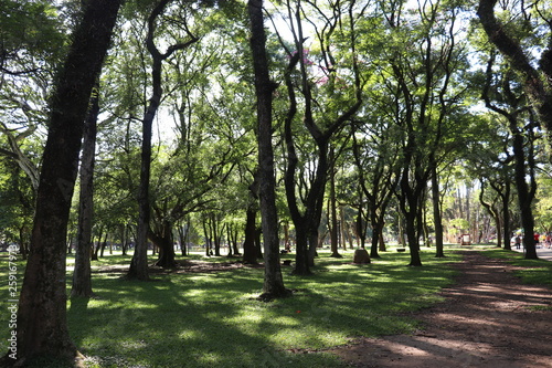 Ibirapuera's Park - 112