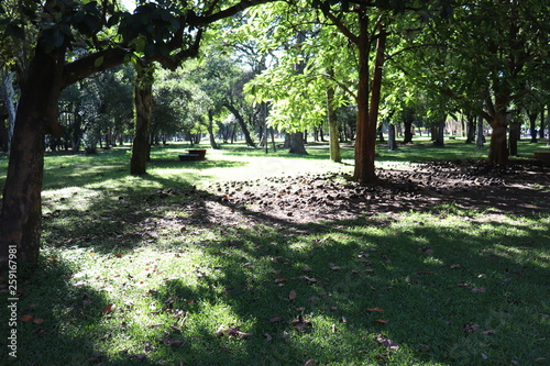 Ibirapuera's Park - 111