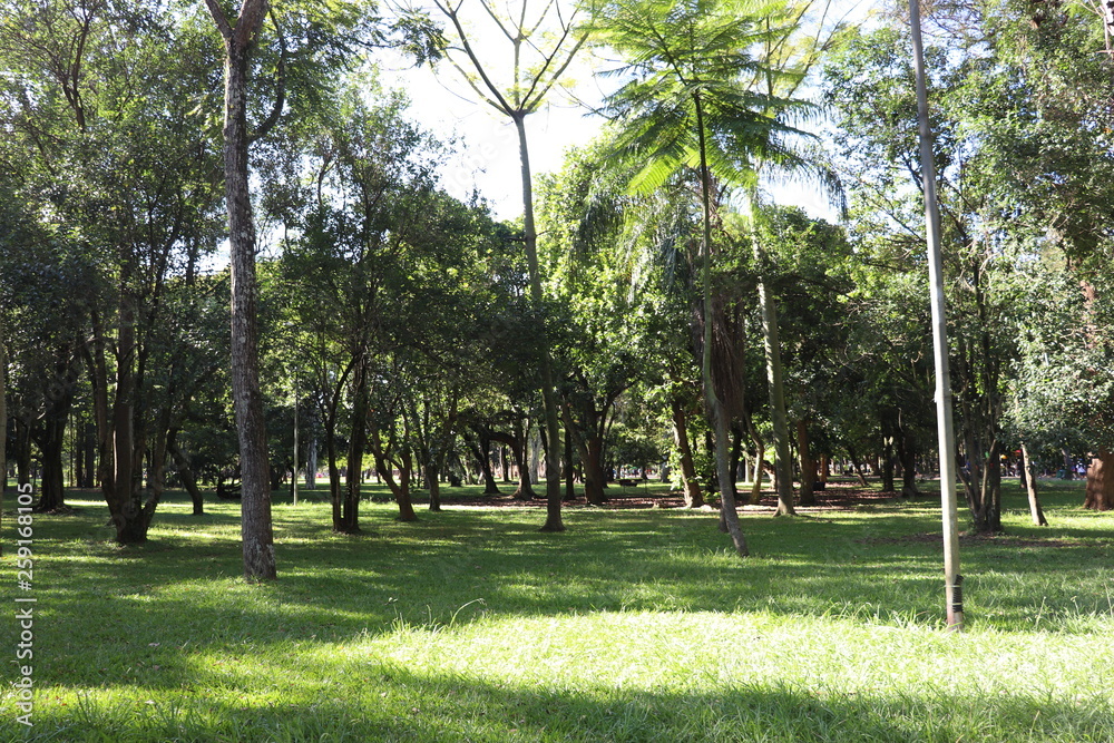 Ibirapuera's Park - 106