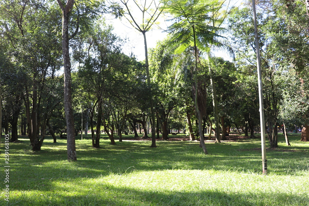 Obraz premium Ibirapuera's Park - 106