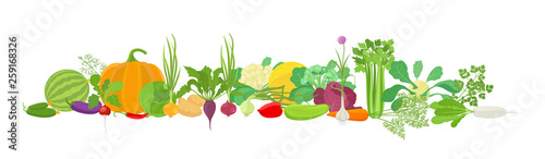 Vegetables harvest banner collage. Popular agricultural plant set. Vector farm plants bunch healthy food. Site header horizontal banner on white background.