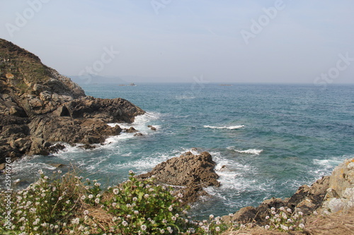 PAYSAGE NATURE - VUE SUR LA MER