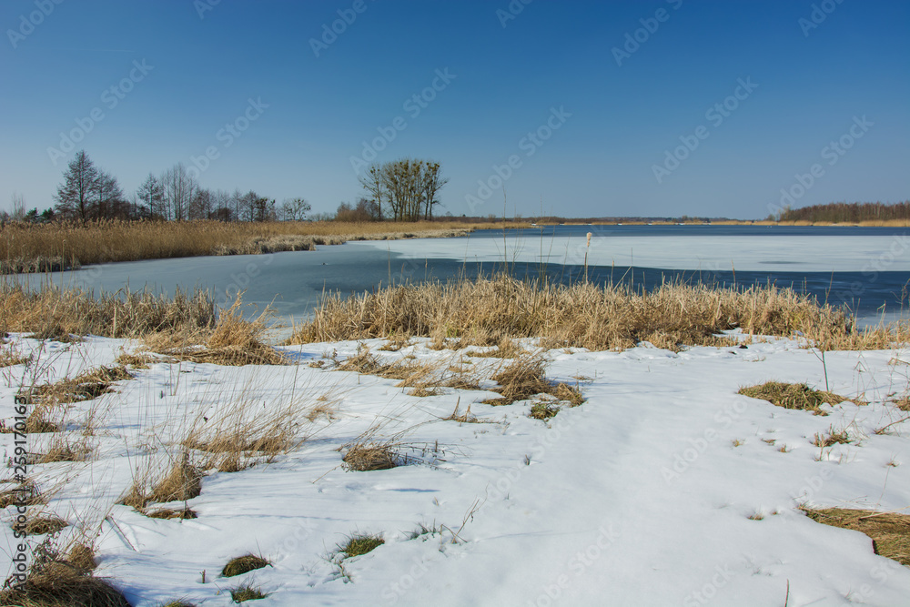 Dry grass and snow on the edge of a frozen lake. Trees on the horizon and blue sky