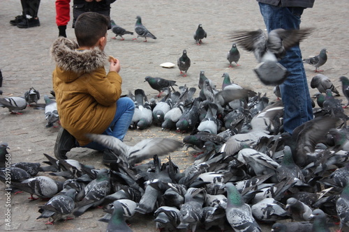 Small children on a winter day playing in a square in a European city. They enjoy chasing pigeons and feeding them