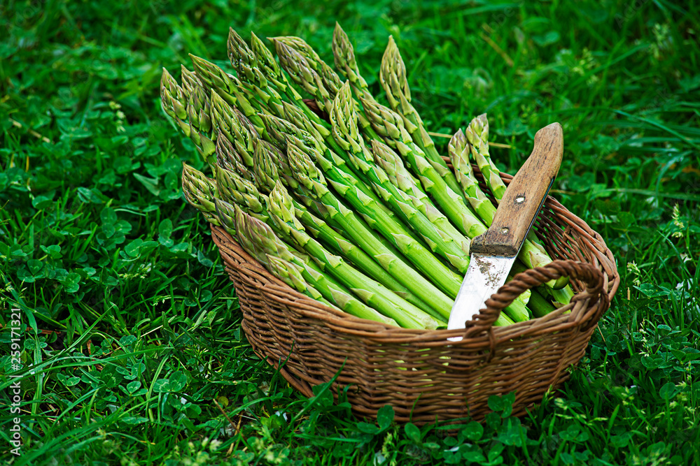 Asparagus