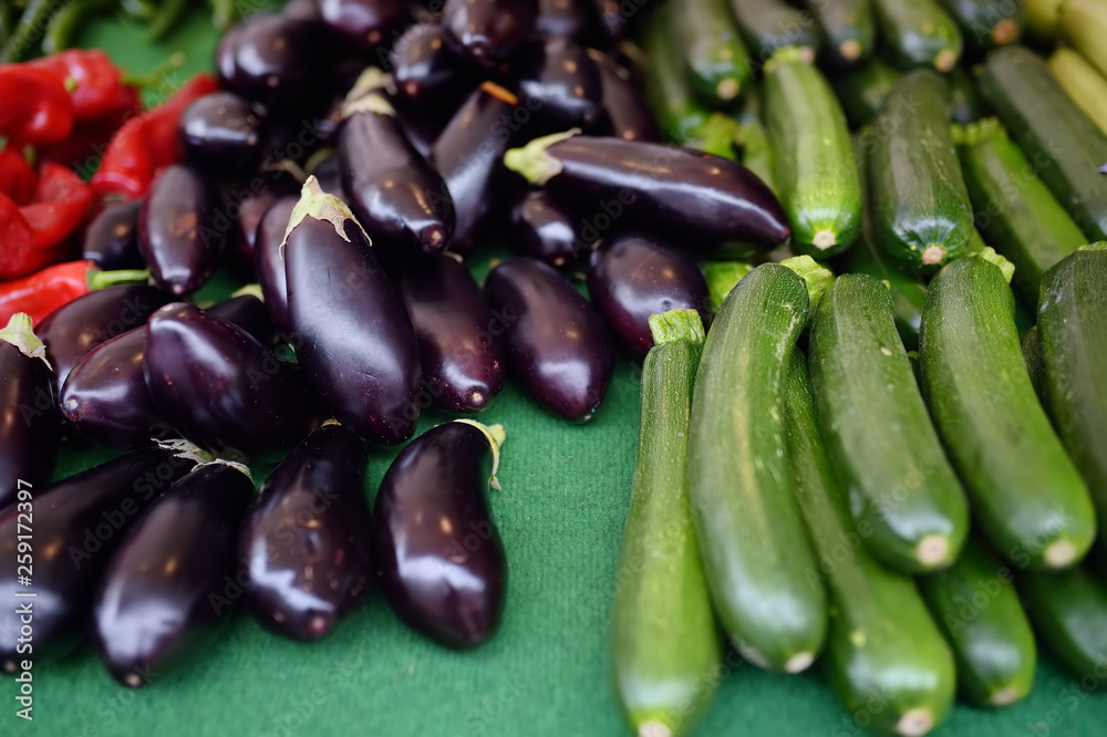 Fresh vegetables - zucchini, squash, aubergines, eggplant and pepper on farmer agricultural market Fresh vegetables - zucchini, squash, aubergines, eggplant and pepper on farmer agricultural market