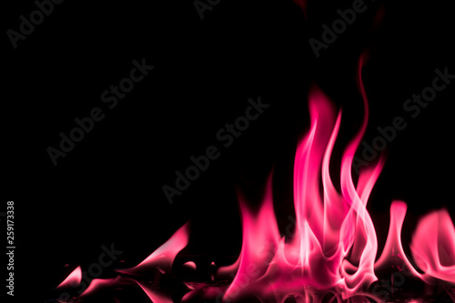 Photography Abstract chemical pink fire flame isolated on black background.