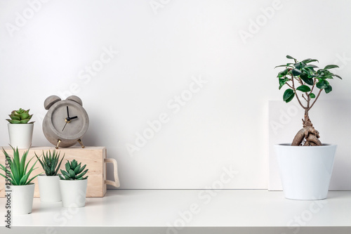 White desk next to an empty wall. Copy space. Green succulents, bonsai, wooden box and concrete clock. Bright composition photo