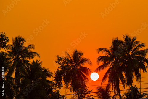 Silhouettes of coconut trees with beautiful sunsets