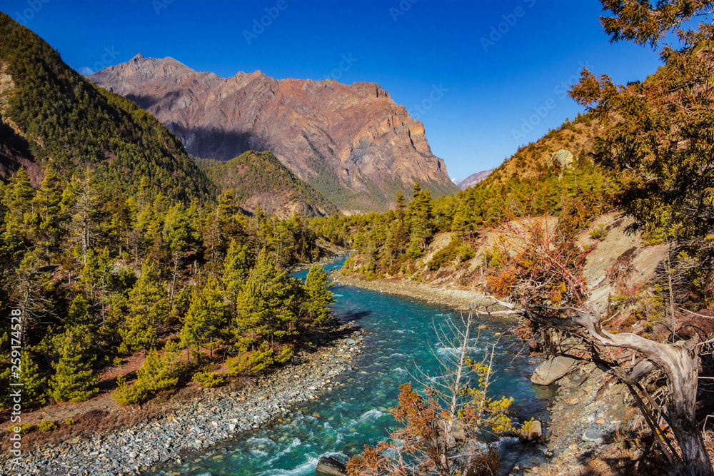 Fototapeta premium View of the blue mountain river Nepal flowing into the gorge