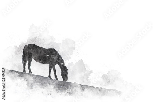 Watercolor illustration. Silhouette of a grazing horse