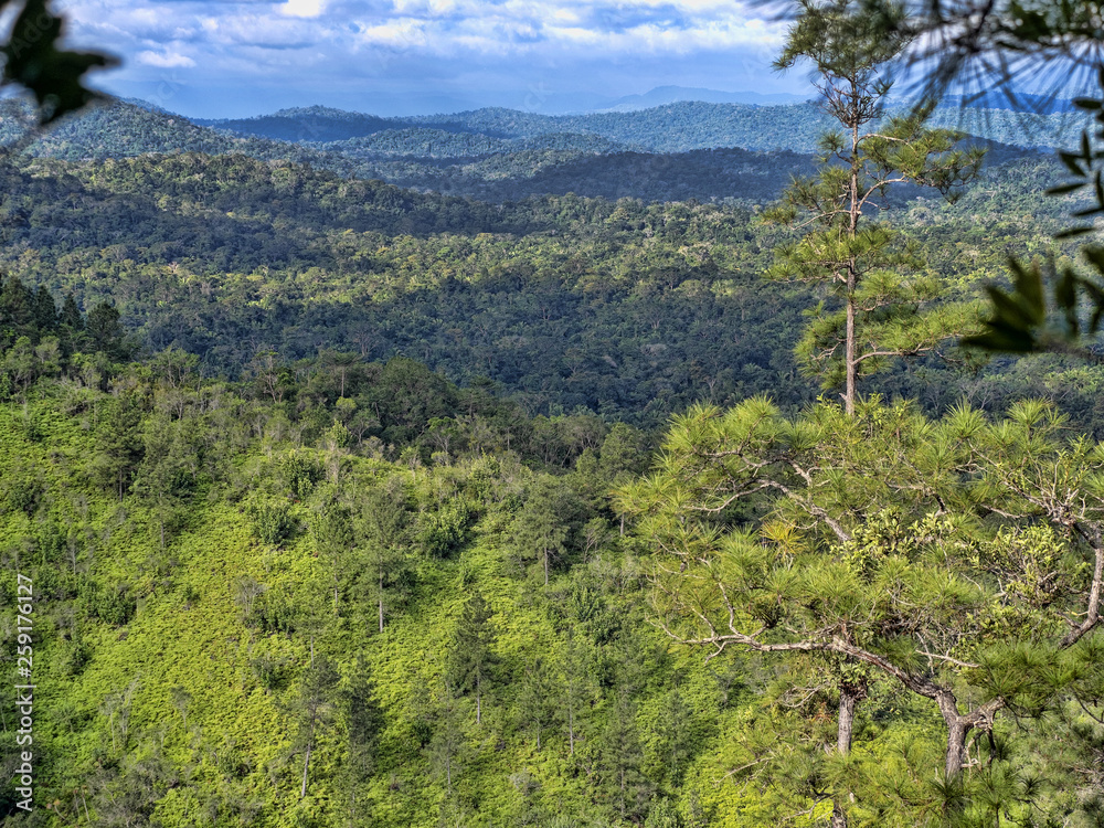 View from above on Cockscob Basin wildlife sanctuary Belize