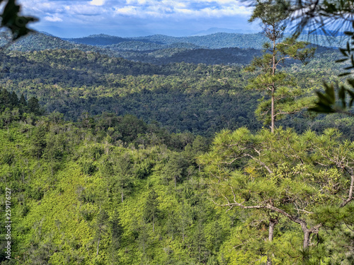 View from above on Cockscob Basin wildlife sanctuary Belize