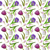 Floral seamless pattern with pink, purple and white tulips on white background