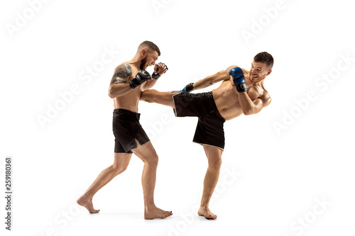 Two professional boxers boxing isolated on white studio background © master1305