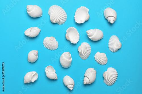Pattern of white seashells on bright blue background