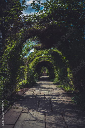 majestic walkway