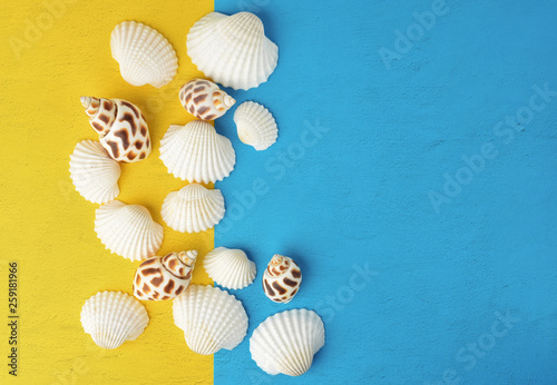 Seashells in the middle of bright yellow and blue background with empty space on the side, summertime concept