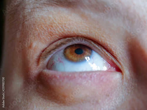Eye macro shot, green human eye closeup, macro shot, eyelashes, pupil. 35 year old woman