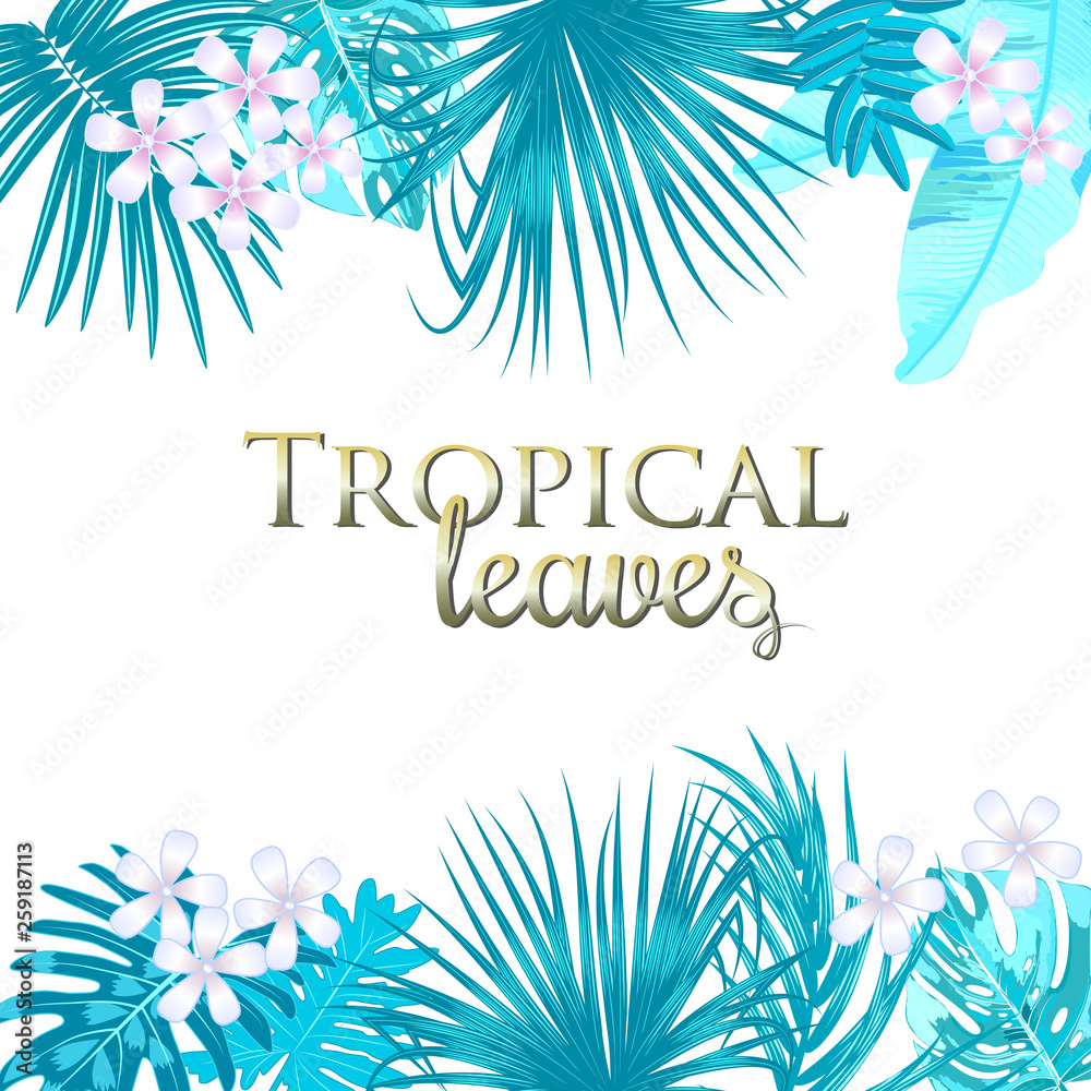Tropical palm leaves and flowers on white background.