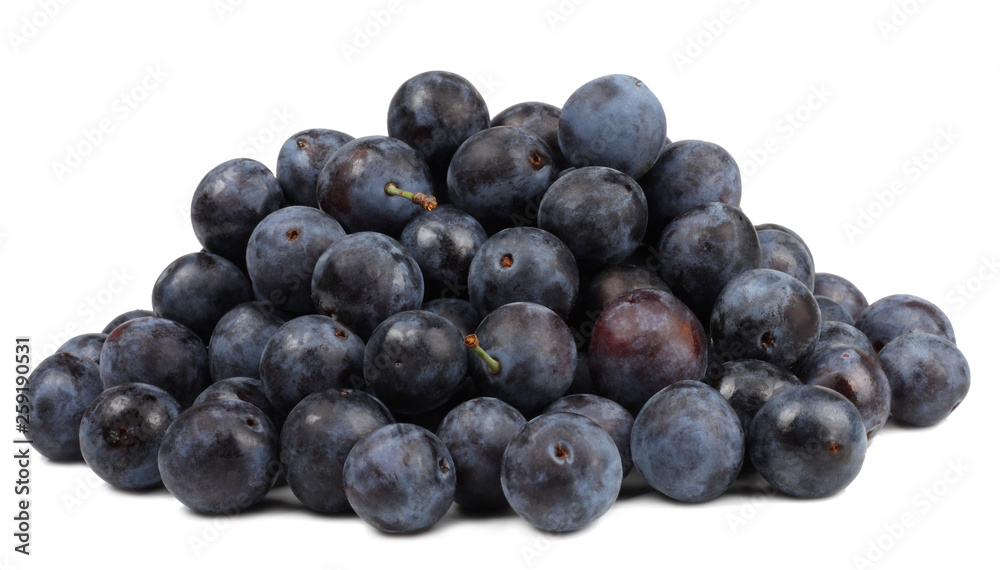 The fruits of blackthorns in a cup isolated on white The fruits of blackthorns in a cup isolated on white