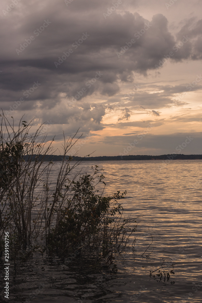 View of the Black River in Amazon, Brazil. Is sunset time and the waters are dark red. View of the Black River in Amazon, Brazil. Is sunset time and the waters are dark red.