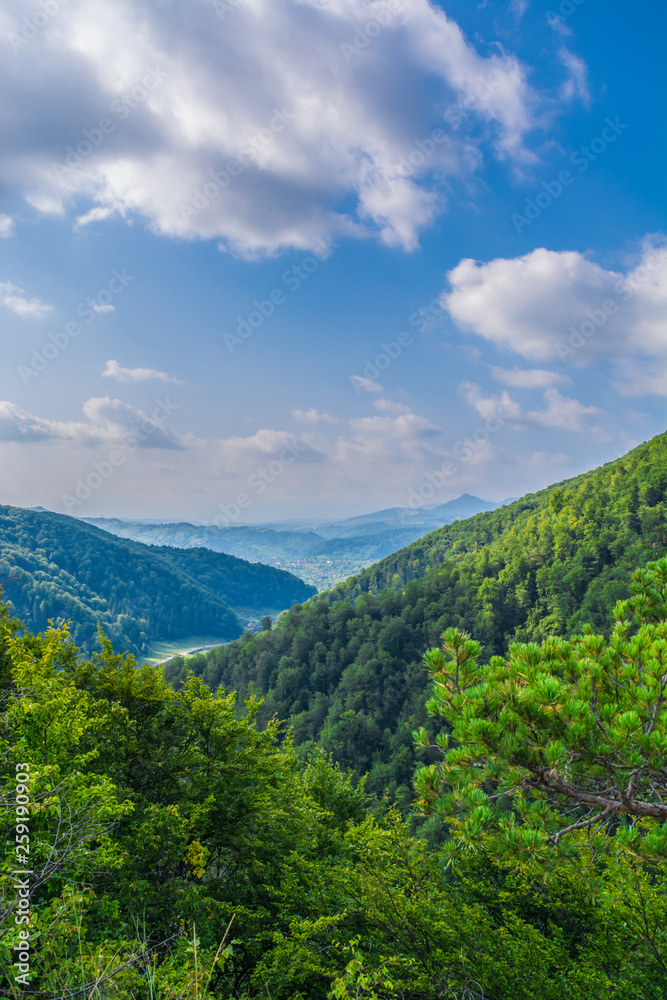 View of forested valley with blue sky and clouds in Arges county ,Romania, East Europe. Untouched virgin woods in Carpathian Mountains.