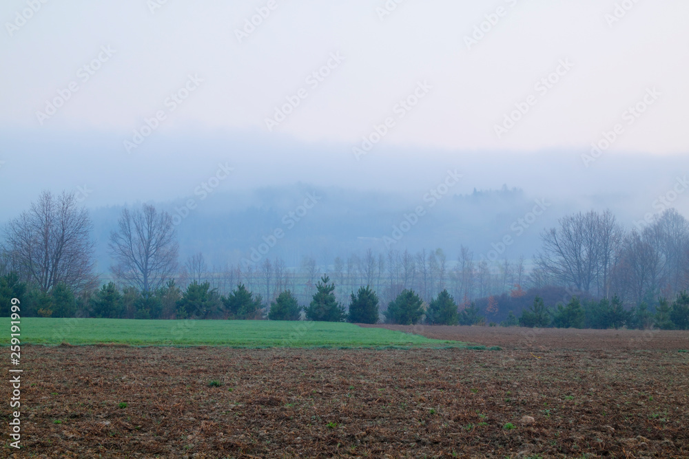 Fototapeta premium Foggy landscape