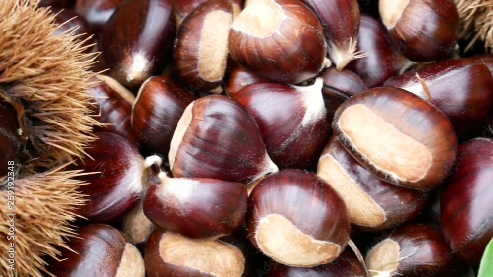 wicker basket full of chestnuts, chestnut curls and leaves. Chestnut harvest in autumn season wicker basket full of chestnuts, chestnut curls and leaves. Chestnut harvest in autumn season
