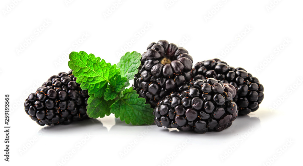 Closeup shot of fresh blackberries. Isolated on white Closeup shot of fresh blackberries. Isolated on white