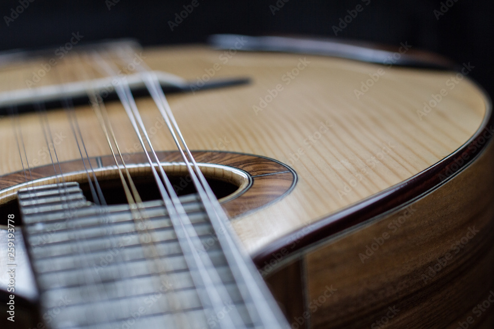 Obraz premium bandurria