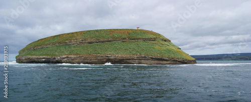 Landscape of the island where the puffins live in Skjalfandi bay in northern Iceland photo
