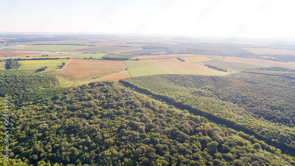 Forest background. Drone point of view