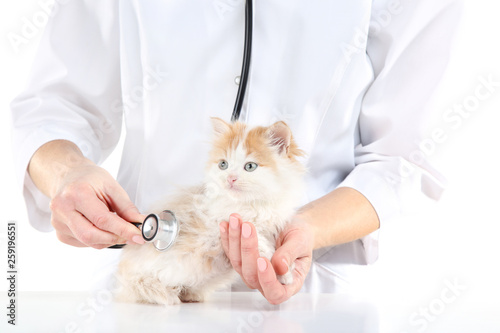 Veterinarian with kitten and stethoscope