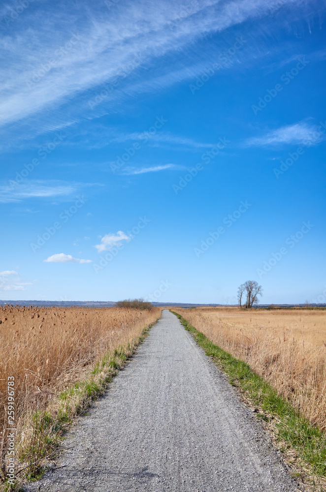 Landscape with a countryside path in spring