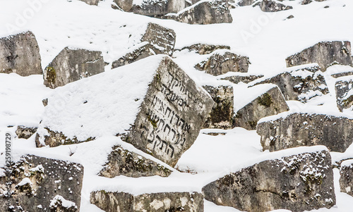 The Damaged OId Jewish Cemetery during siege of Sarajevo by Serbs. The second largest Jewish cemetery in Europe after Prague’s Old Jewish Cemetery photo