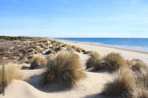 Amazing Sandy beach in Camargue region, in the South of France