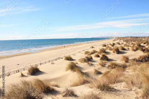 Amazing Sandy beach in Camargue region, in the South of France photo