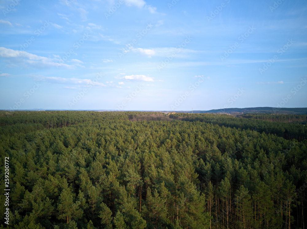Blick über Wald - Drone View over Wood
