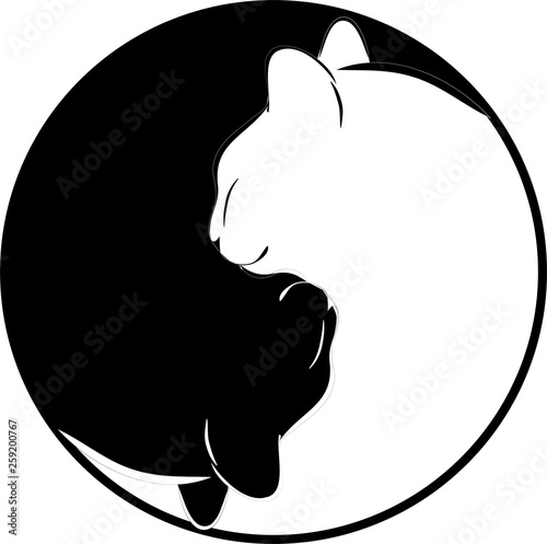 Yin Yang Cats