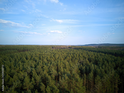 Blick   ber Wald - Drone View over Wood