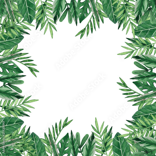 Watercolor botanical illustration. Border. Green leaves. Hand drawn illustration