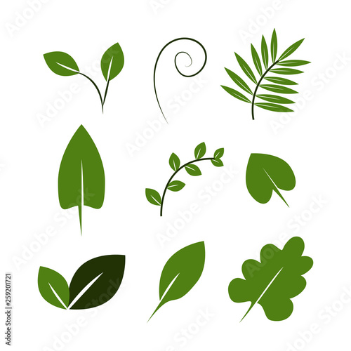 set of green leaves