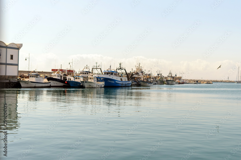 Barcos pesqueros atracados en puerto 08