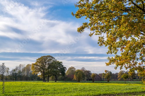 Fototapeta Naklejka Na Ścianę i Meble -  Herbst im Muensterland