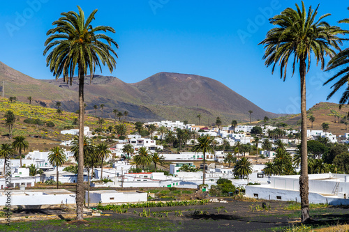 Spain, Lanzarote, White houses of palm tree village haria surrounded by huge volcano mounts photo