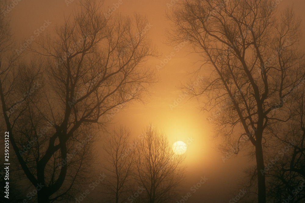 View of sunset during mist View of sunset during mist