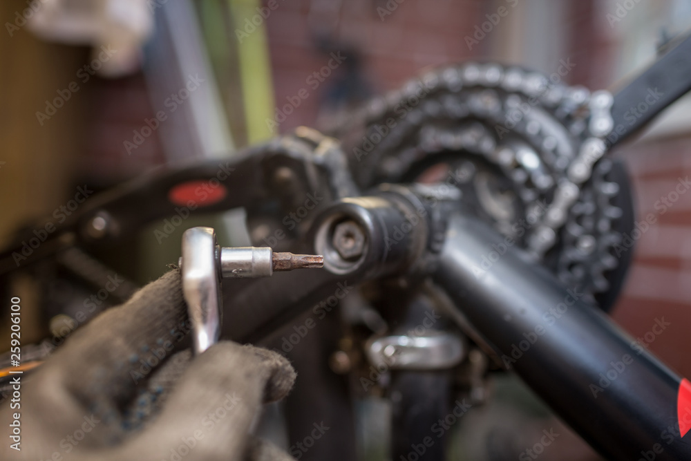 Obraz premium A close-up of a male bicycle mechanic's hand in the workshop uses a screwdriver tool to adjust and repair the bicycle crank assembly, the front bike stars
