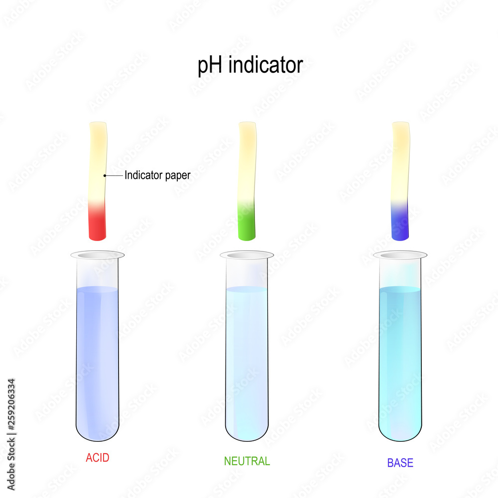 pH indicator. Determination of acidity liquid using litmus paper. Three test tubes with a liquid. pH indicator. Determination of acidity liquid using litmus paper. Three test tubes with a liquid.