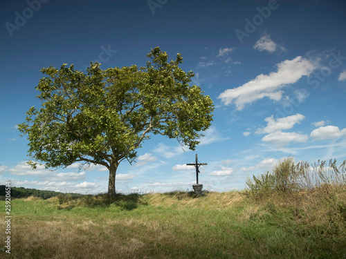 Tree and crucifix on grassy landscape against cloudy sky